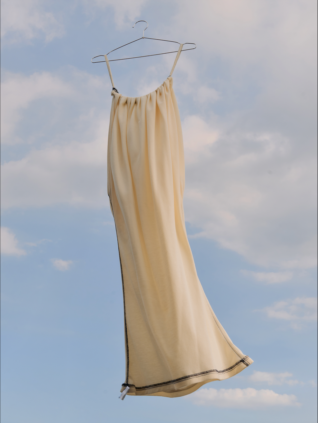 Fish Dress