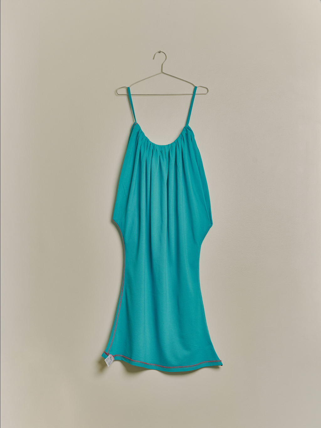 Fish Dress